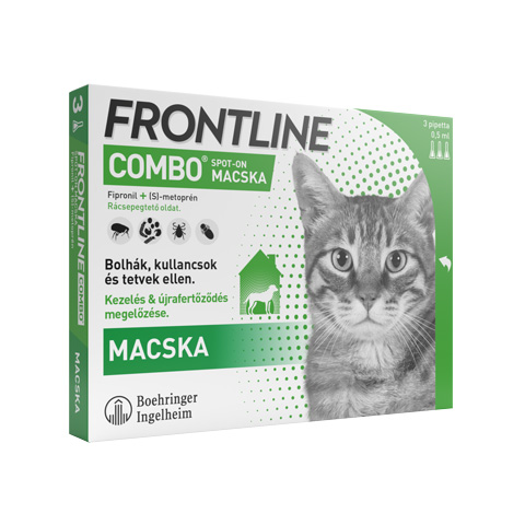 Frontline Combo cat